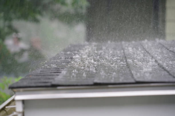Professional Roofing Service in River Road, WA